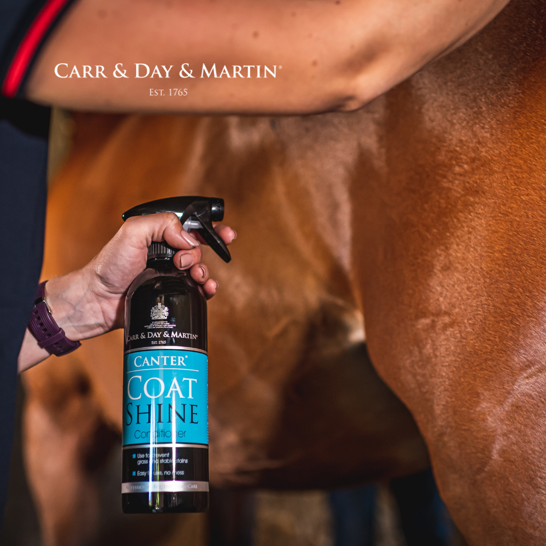 Carr&Day&Martin | Canter Coat Shine Fellglanz - 500 ml