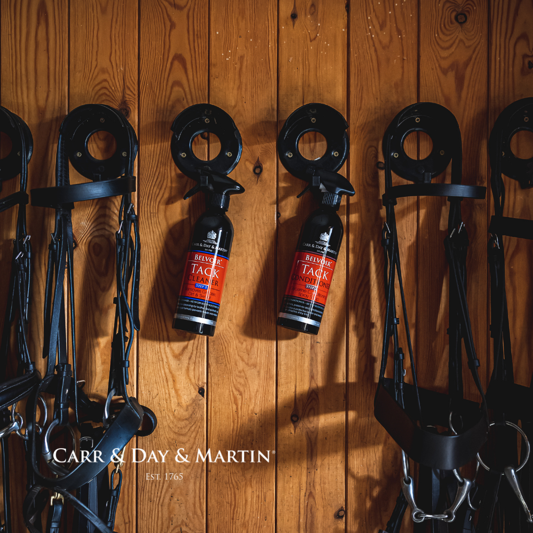 Carr&Day&Martin | Belvoir Lederpflege Step 2 - 500 ml